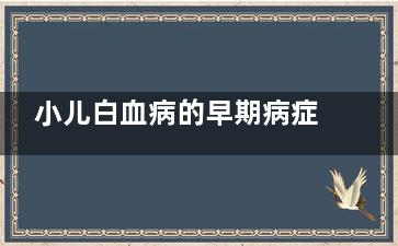 小儿白血病的早期病症表现 家长得知道(小儿白血病的早期症状七个典型表现要牢记)